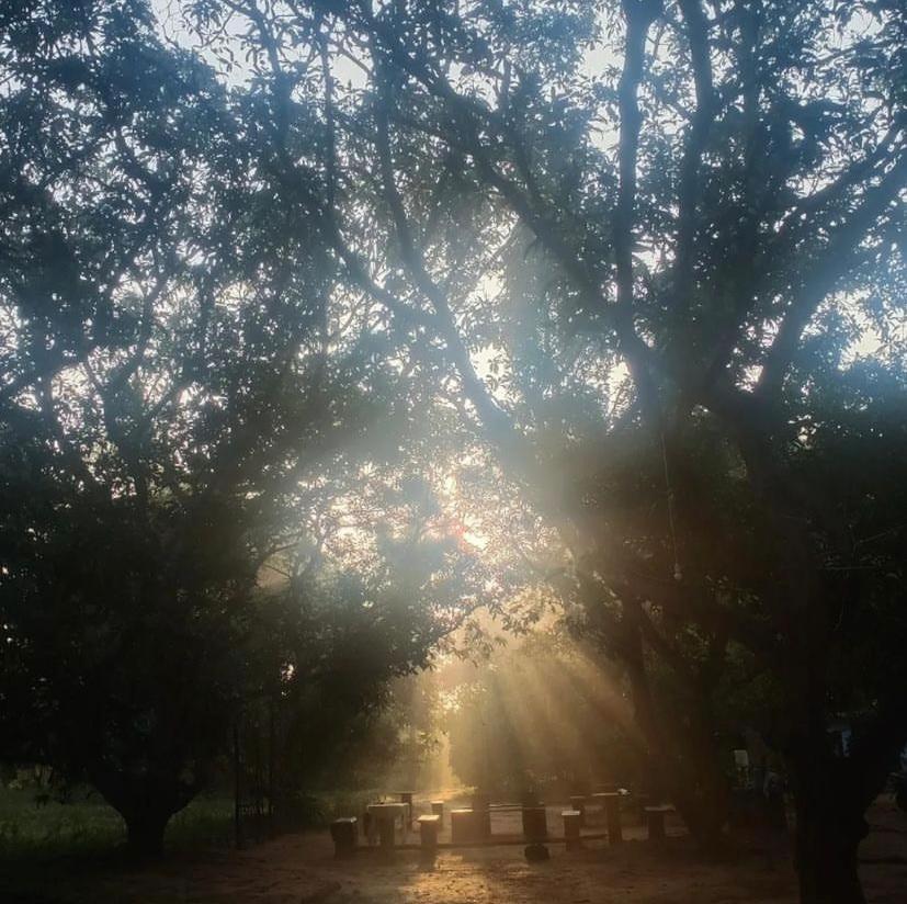 Art Forest Puducherry Exterior foto