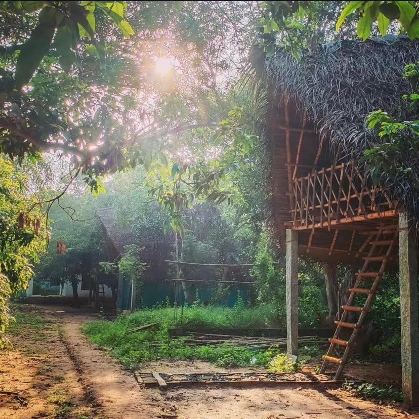 Art Forest Puducherry Exterior foto